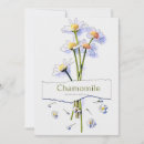Search for spring daisy invitations Nature