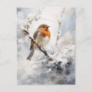Search for robin painting postcards Wildlife