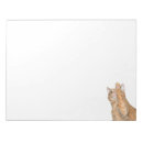 Search for cat notepads Orange