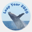 Search for leap year stickers Birthday