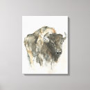 Search for bison canvas prints Buffalo