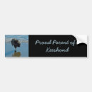 Search for art bumper stickers Beach
