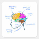 Search for anatomy plates Brain