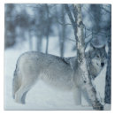 Search for wildlife tiles Grey