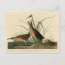 Search for railing postcards Bird