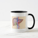 Search for liver mugs Medical