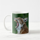 Search for bobcat mugs Wildcat