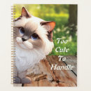 Search for himalayan cat Cute