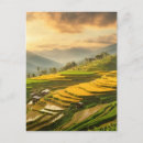 Search for rice terraces postcards Landscape