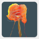 Search for floral mosaic stickers Turkish