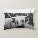 Search for highland cow cushions Country