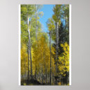 Search for aspen posters Autumn