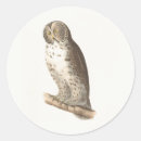Search for grey owl stickers Bird