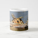 Search for turtle mugs Animals