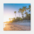 Search for dominican republic magnets Island