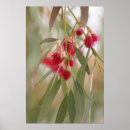 Search for gum posters Flowers