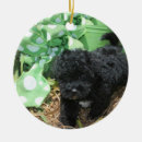 Search for maltipoo christmas tree decorations Cute