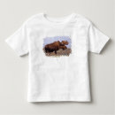 Search for ungulate tshirts Bull