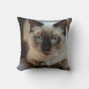 Search for ragdoll cat gifts Feline