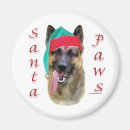 Search for gsd magnets Animals