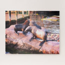 Search for seals puzzles Animal