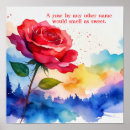 Search for rose other Roses