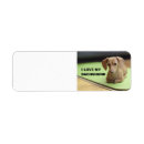 Search for wiener dog return address labels Doxie