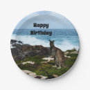 Search for wallaby Kangaroo