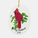 Search for cardinal bird christmas tree decorations Watercolor