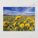 Search for mountain range postcards Landscape