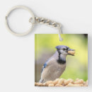 Search for blue jays key rings Bird