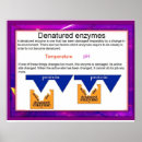 Search for enzyme Science
