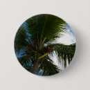 Search for coconuts badges Tropical