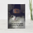 Search for famous cat postcards Funny