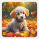 Search for poodle puppy stickers Cute