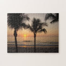 Search for palm tree photography Beach
