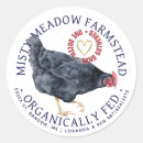 Search for egg carton labels Watercolor