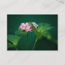 Search for touches business cards For her