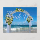 Search for sea shell cards Surf