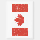 Search for flag large magnets Support