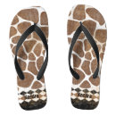 Search for african jandals Wildlife