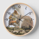 Search for woodland animals clocks Wildlife