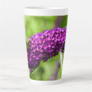 Search for bushes mugs Purple