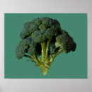 Search for broccoli posters Veggies