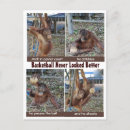 Search for bball postcards Hoops