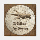 Search for lizards magnets Animal