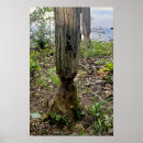 Search for beaver decor Landscape