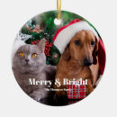 Search for family with dog christmas tree decorations Cute