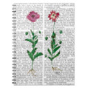 Search for italian notebooks Carnation