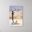 Search for boot canvas prints Military